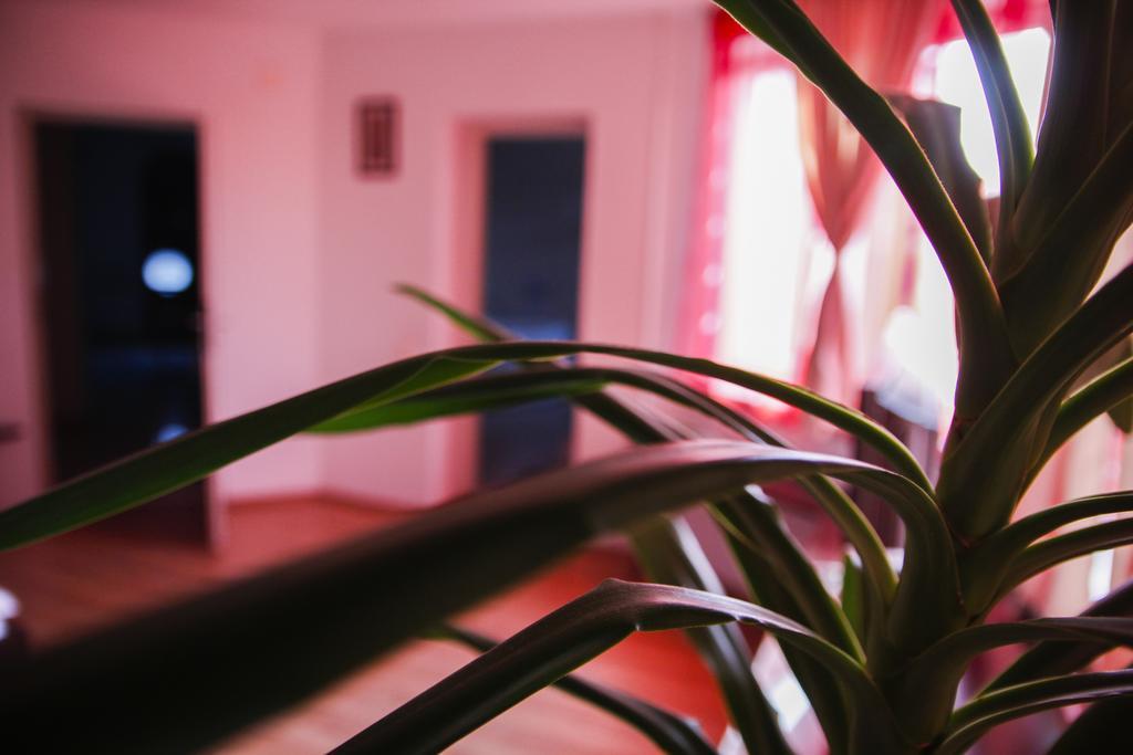 Villa Grande Iasi Room photo